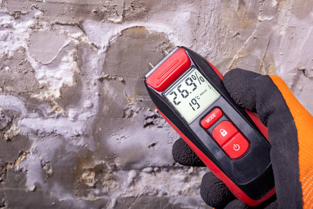 Best Toxic Mold Removal  in Sunnyside, WA