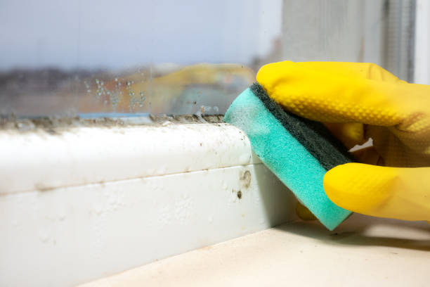 Best Emergency Mold Removal  in Sunnyside, WA