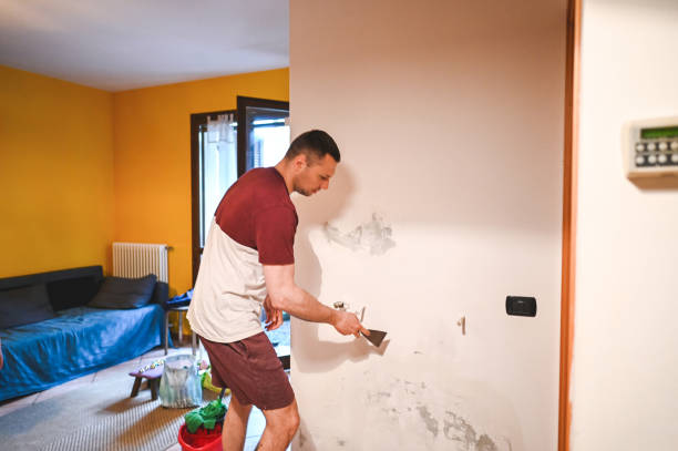 Best Mold Remediation  in Sunnyside, WA